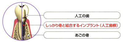 荜ƌCvgilHj